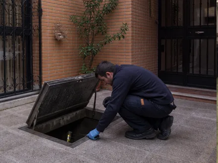 Fotografía editorial exclusiva de plagas-madrid.com para un contexto de inspección; no representa la sede, el equipo ni un trabajo de KILL VECTOR